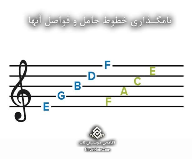 نامگذاری خطوط حامل و فواصل آنها-راهنمای جامع خواندن نت موسیقی
